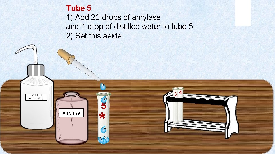 Tube 5 1) Add 20 drops of amylase and 1 drop of distilled water