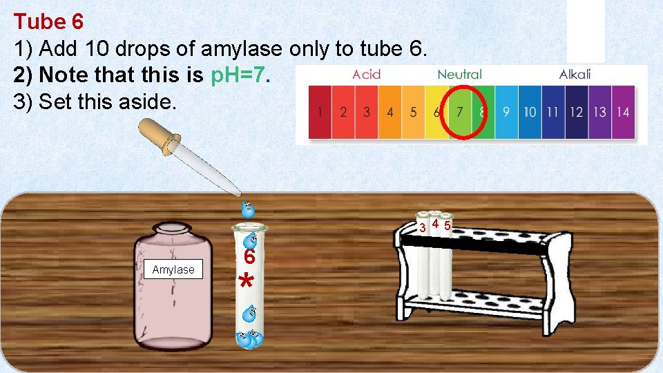 Tube 6 1) Add 10 drops of amylase only to tube 6. 2) Note