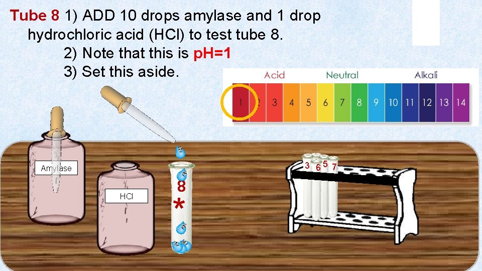 Tube 8 1) ADD 10 drops amylase and 1 drop hydrochloric acid (HCl) to