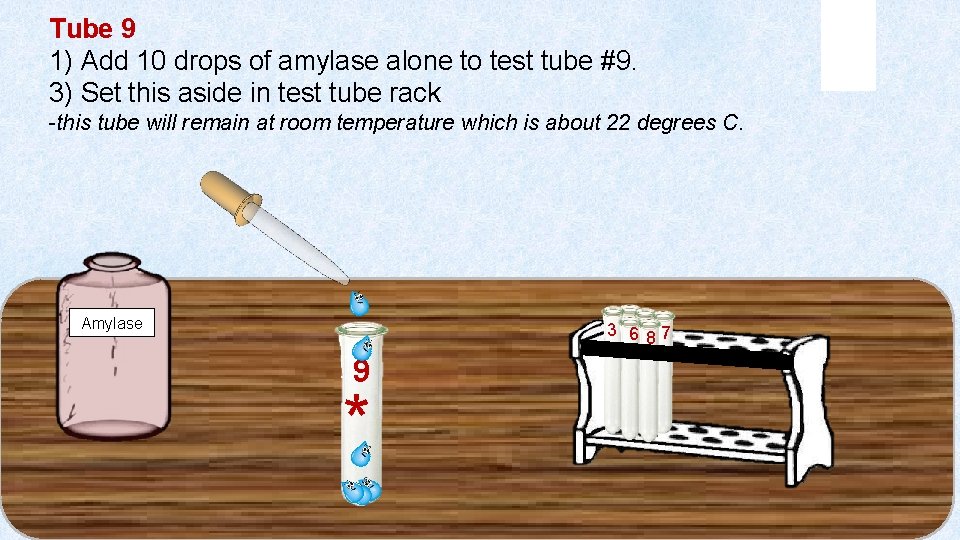 Tube 9 1) Add 10 drops of amylase alone to test tube #9. 3)