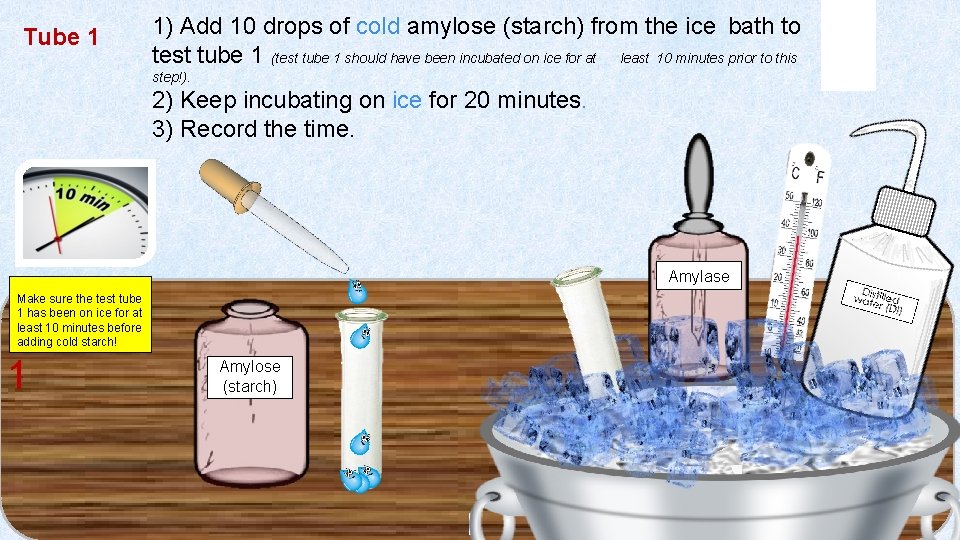 Tube 1 1) Add 10 drops of cold amylose (starch) from the ice bath