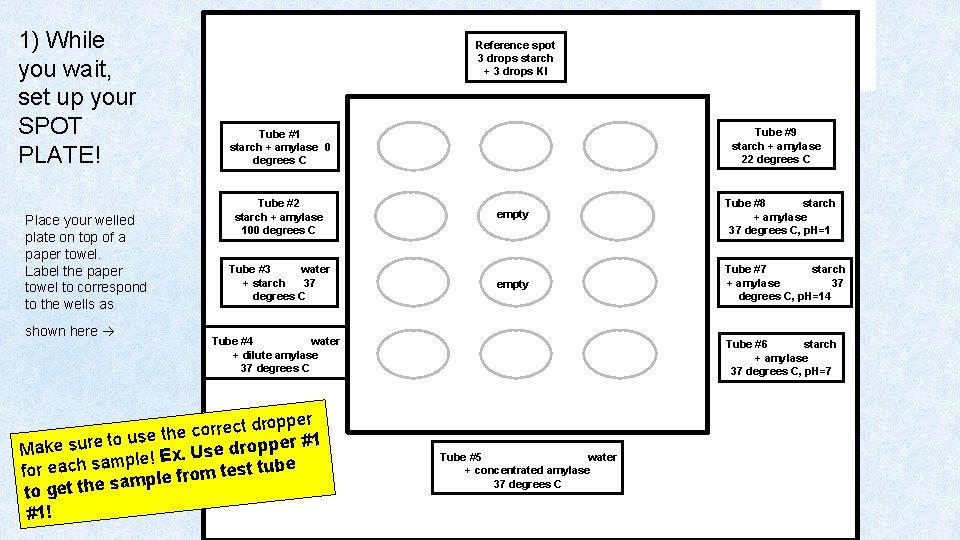 1) While you wait, set up your SPOT PLATE! Place your welled plate on