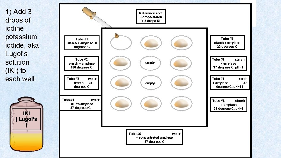 1) Add 3 drops of iodine potassium iodide, aka Lugol’s solution (IKI) to each