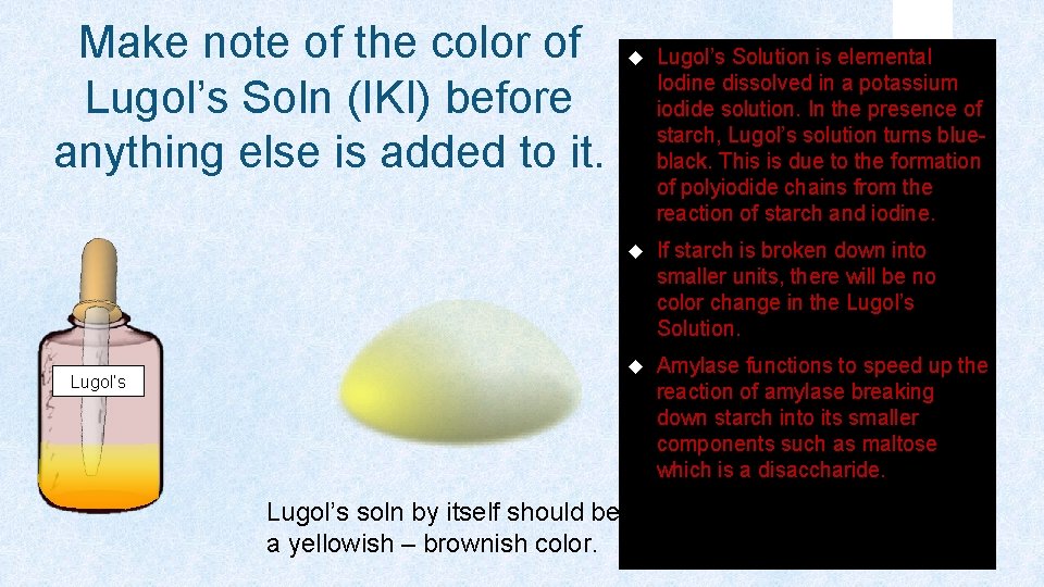 Make note of the color of Lugol’s Soln (IKI) before anything else is added
