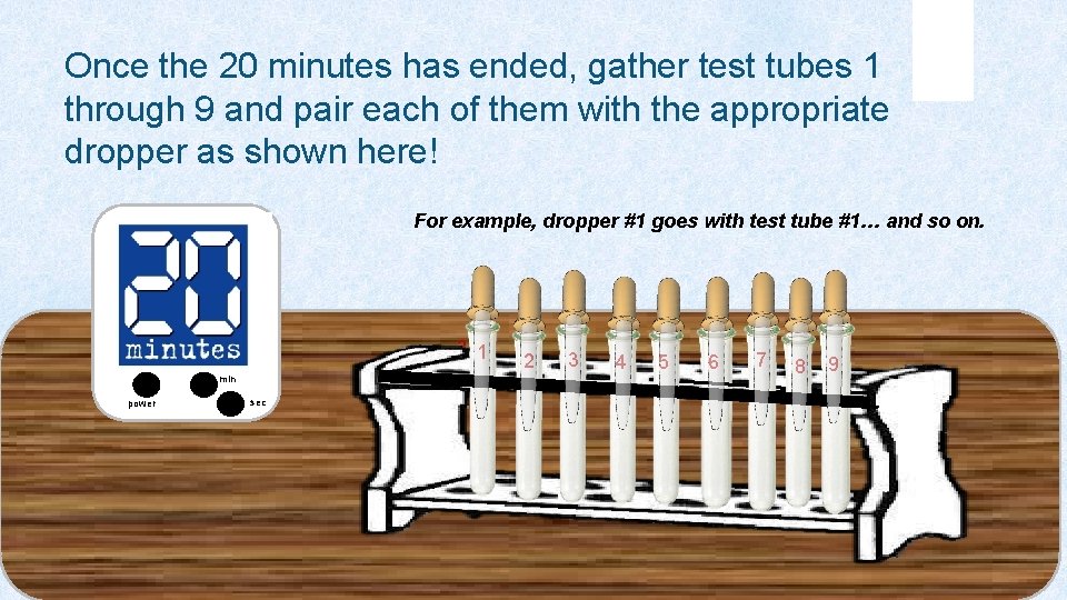 Once the 20 minutes has ended, gather test tubes 1 through 9 and pair