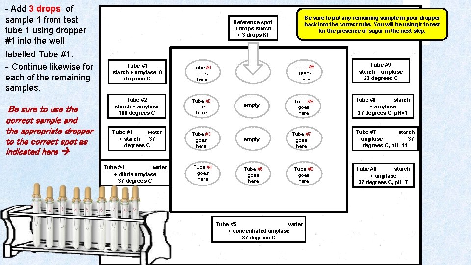 - Add 3 drops of sample 1 from test tube 1 using dropper #1