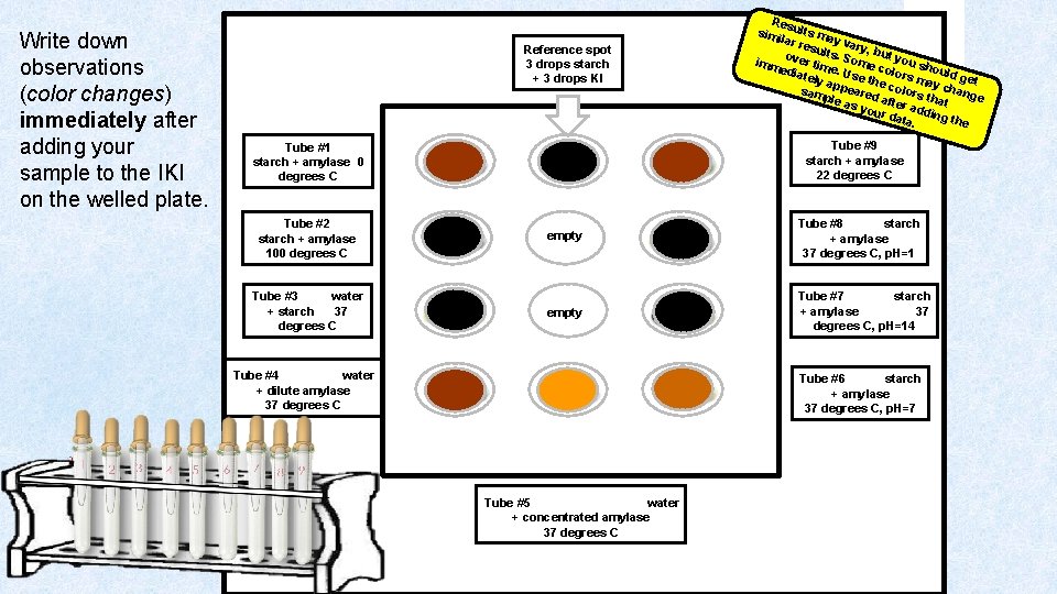 Write down observations (color changes) immediately after adding your sample to the IKI on