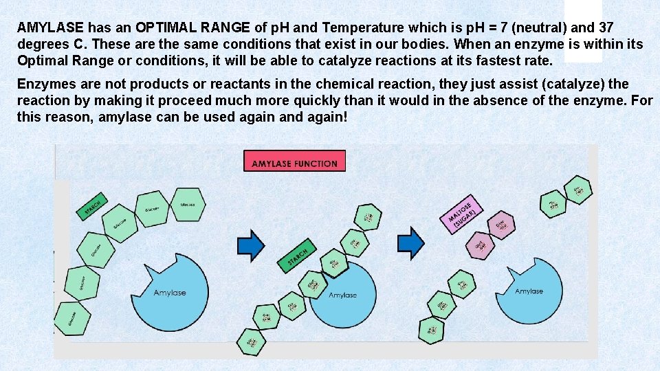 AMYLASE has an OPTIMAL RANGE of p. H and Temperature which is p. H