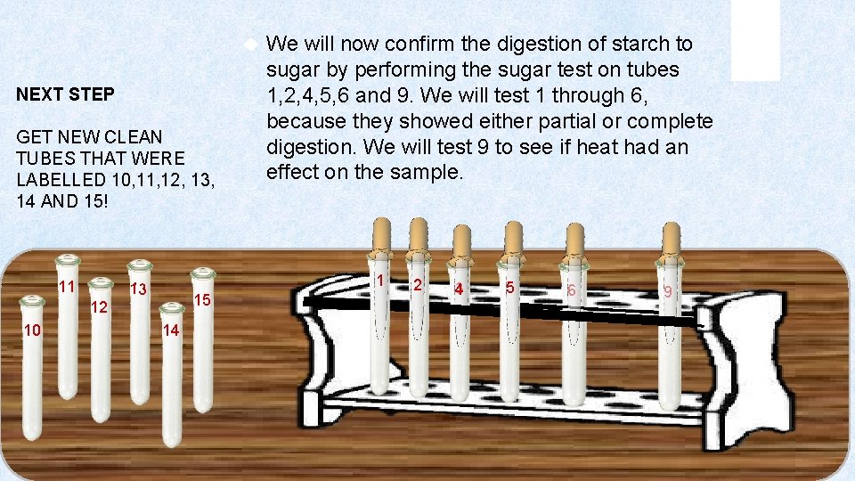  NEXT STEP GET NEW CLEAN TUBES THAT WERE LABELLED 10, 11, 12, 13,