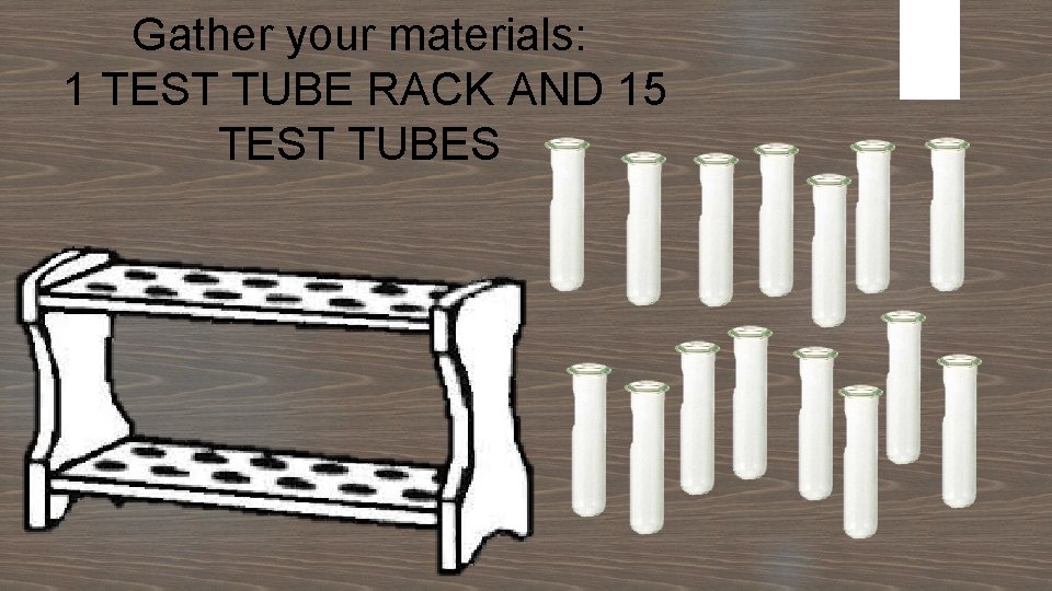 Gather your materials: 1 TEST TUBE RACK AND 15 TEST TUBES 