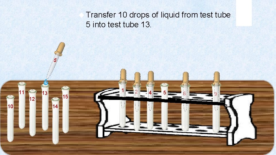  Transfer 10 drops of liquid from test tube 5 into test tube 13.