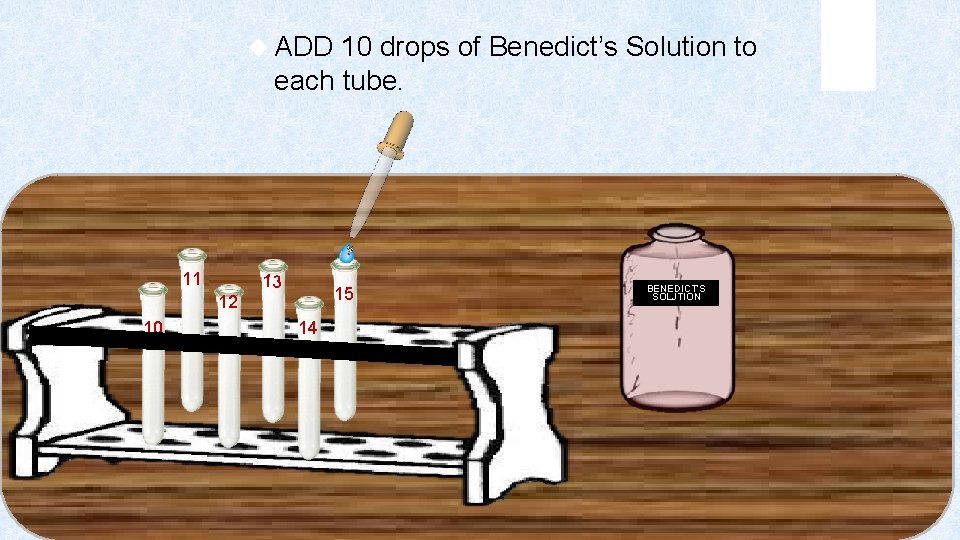  ADD 10 drops of Benedict’s Solution to each tube. 11 13 15 12