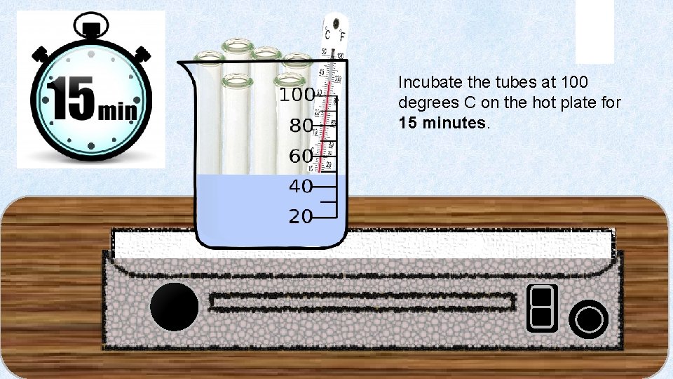 Incubate the tubes at 100 degrees C on the hot plate for 15 minutes.