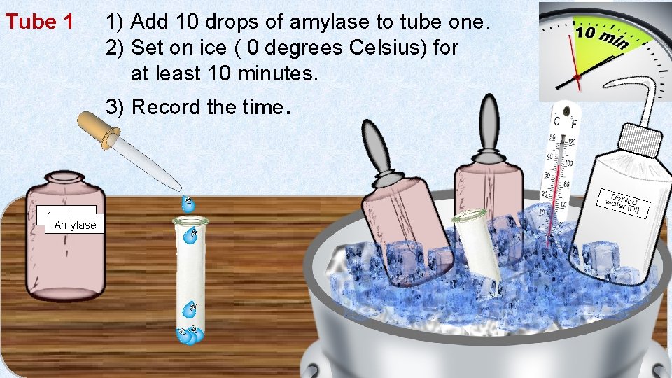 Tube 1 1) Add 10 drops of amylase to tube one. 2) Set on