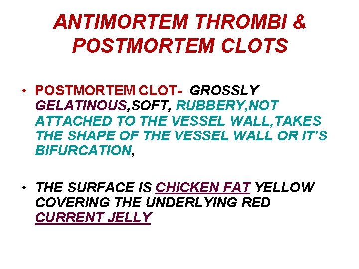 ANTIMORTEM THROMBI & POSTMORTEM CLOTS • POSTMORTEM CLOT- GROSSLY GELATINOUS, SOFT, RUBBERY, NOT ATTACHED