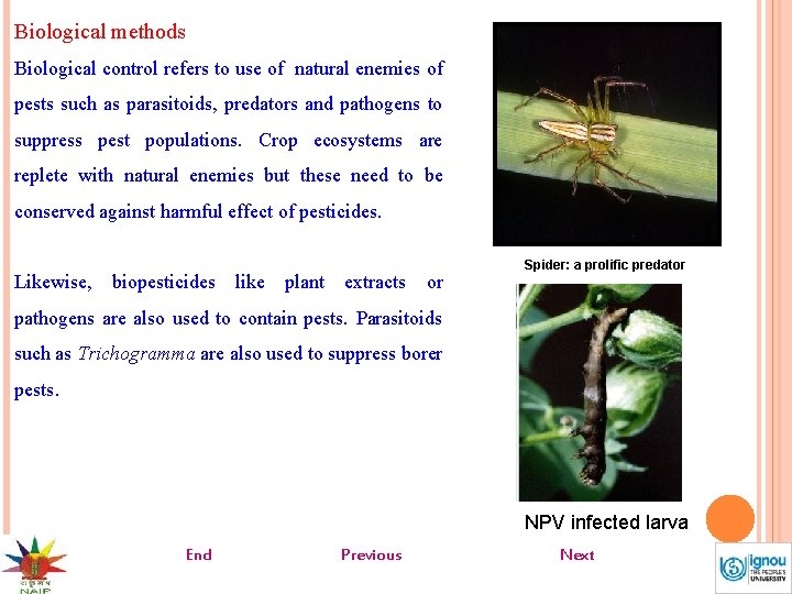 Biological methods Biological control refers to use of natural enemies of pests such as