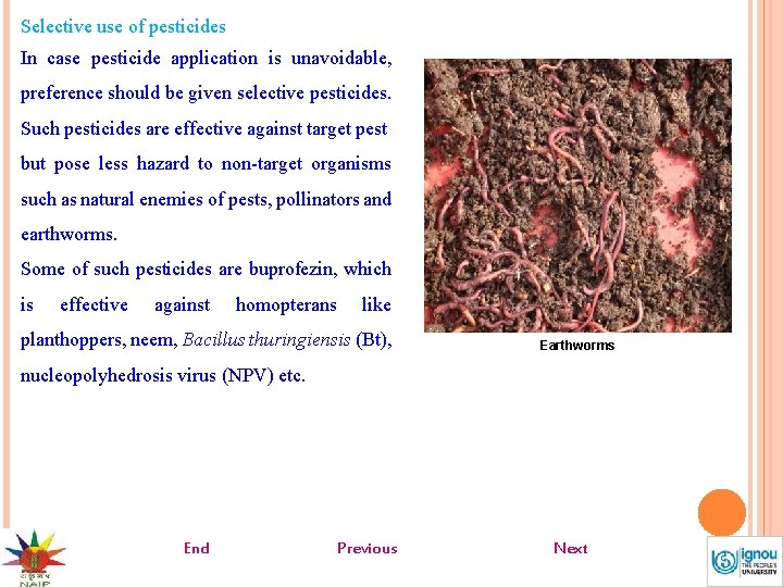 Selective use of pesticides In case pesticide application is unavoidable, preference should be given