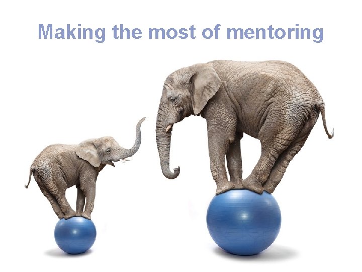 Making the most of mentoring 