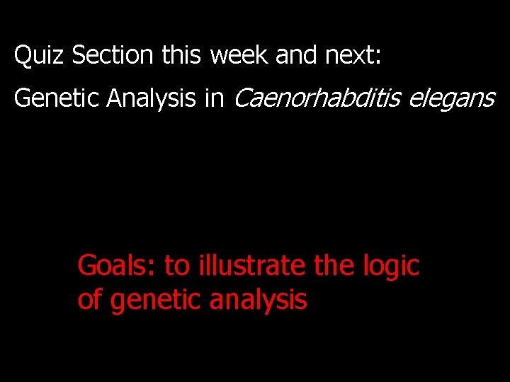 Quiz Section this week and next: Genetic Analysis in Caenorhabditis elegans Goals: to illustrate