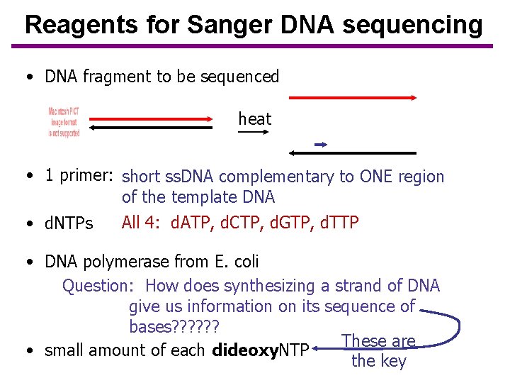 Reagents for Sanger DNA sequencing • DNA fragment to be sequenced heat • 1