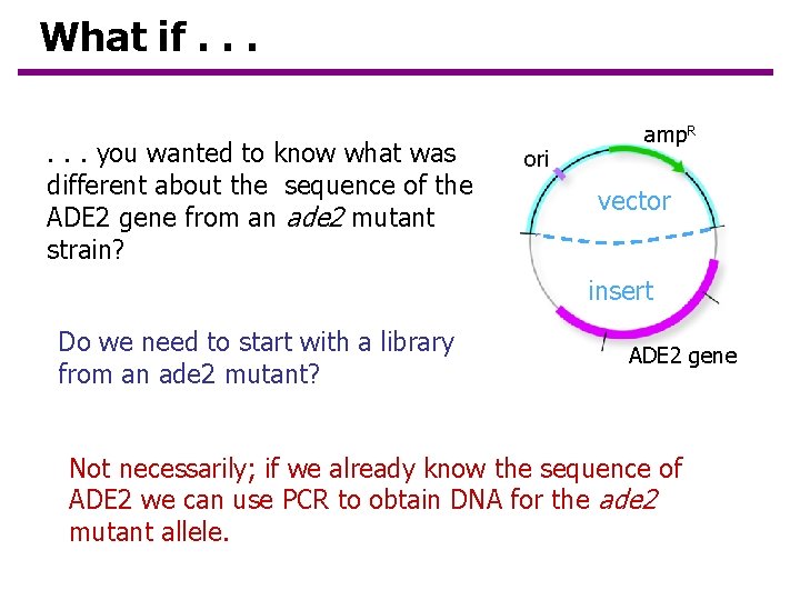 What if. . . you wanted to know what was different about the sequence