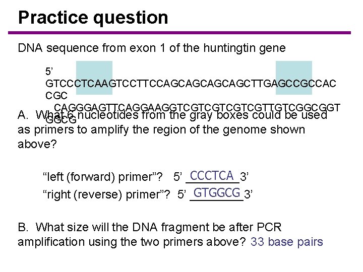 Practice question DNA sequence from exon 1 of the huntingtin gene 5’ GTCCCTCAAGTCCTTCCAGCAGCTTGAGCCGCCAC CGC