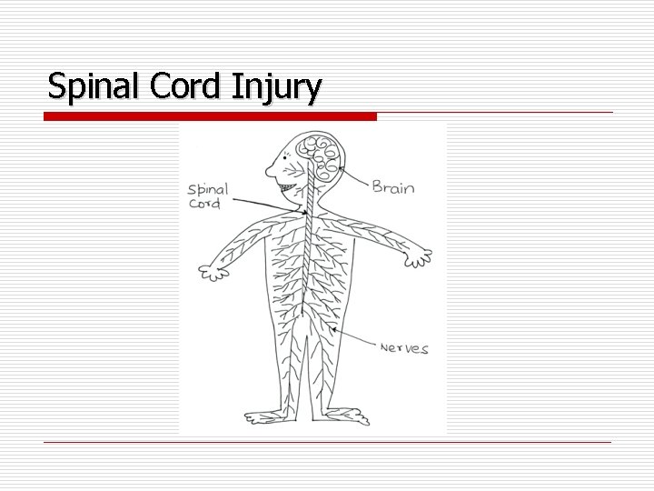 Spinal Cord Injury 