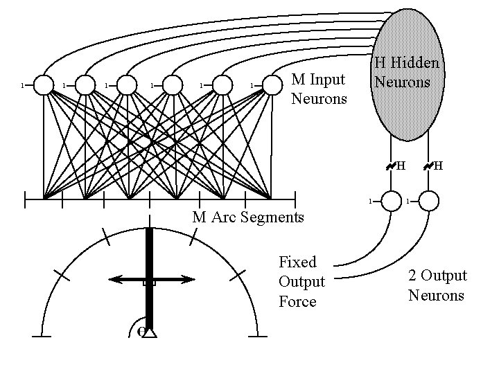 1 1 1 H Hidden Neurons M Input Neurons H 1 M Arc Segments