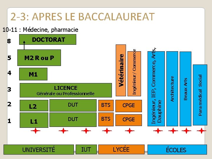 2 -3: APRES LE BACCALAUREAT 10 -11 : Médecine, pharmacie 2 L 2 DUT