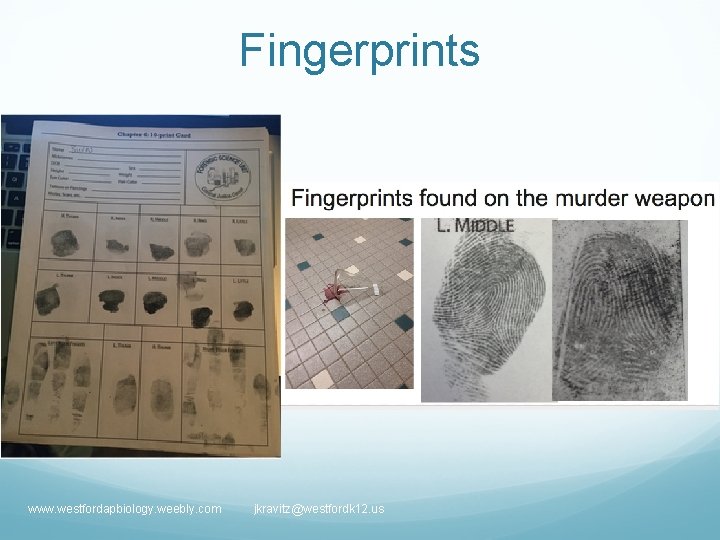 Fingerprints www. westfordapbiology. weebly. com jkravitz@westfordk 12. us 