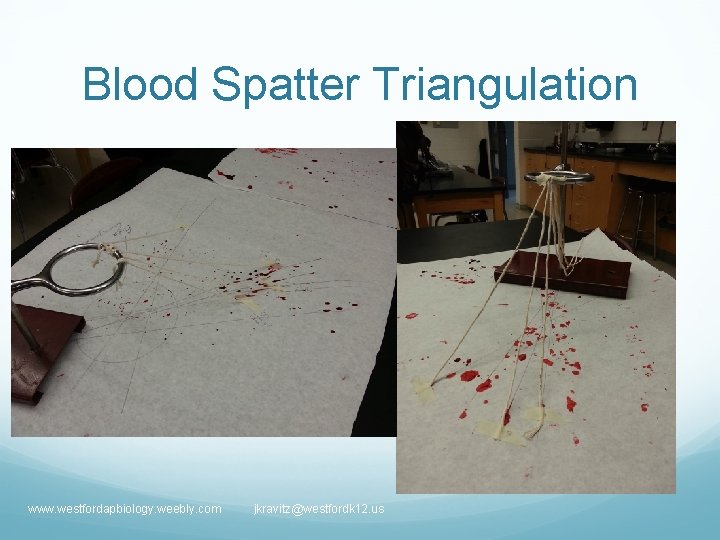 Blood Spatter Triangulation www. westfordapbiology. weebly. com jkravitz@westfordk 12. us 