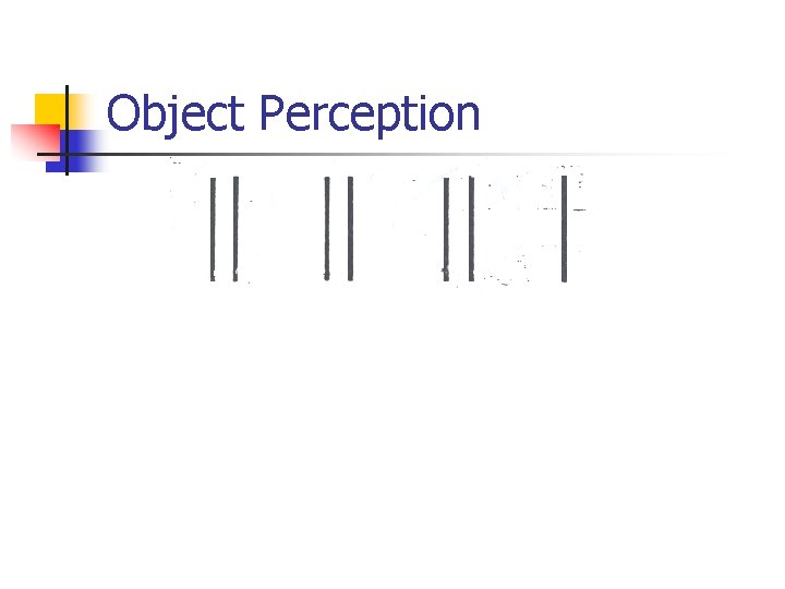 Object Perception 