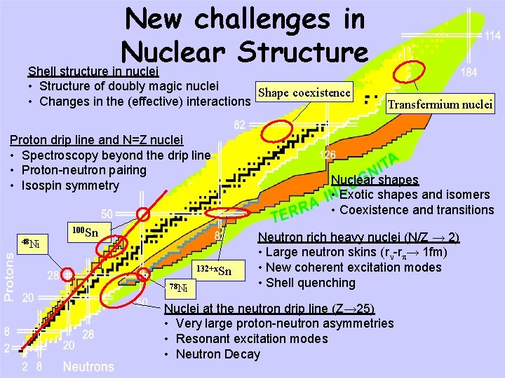 New challenges in Nuclear Structure Shell structure in nuclei • Structure of doubly magic