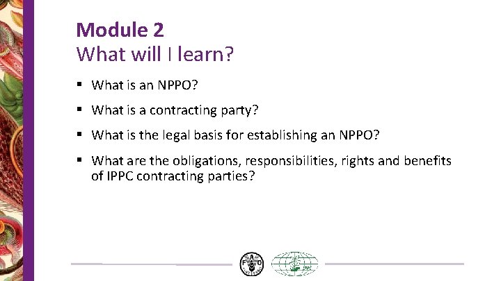 Module 2 What will I learn? § What is an NPPO? § What is