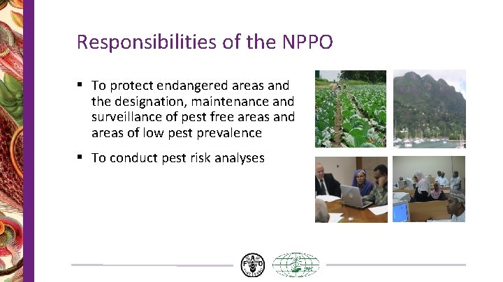 Responsibilities of the NPPO § To protect endangered areas and the designation, maintenance and