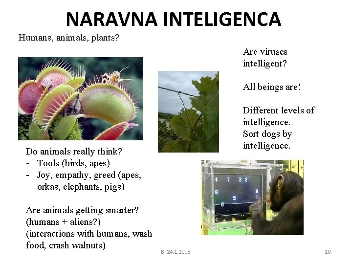 NARAVNA INTELIGENCA Humans, animals, plants? Are viruses intelligent? All beings are! Different levels of