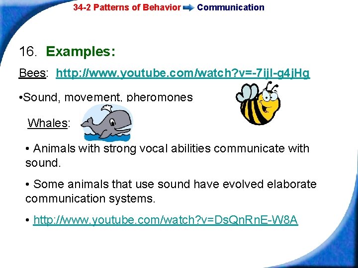 34 -2 Patterns of Behavior Communication 16. Examples: Bees: http: //www. youtube. com/watch? v=-7