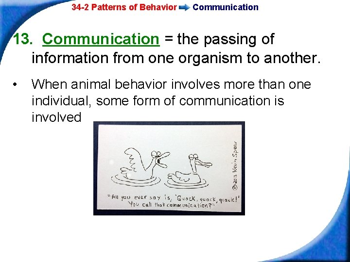 34 -2 Patterns of Behavior Communication 13. Communication = the passing of information from