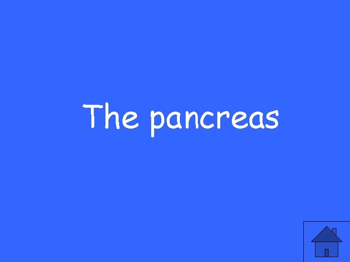 The pancreas 