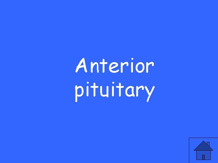 Anterior pituitary 