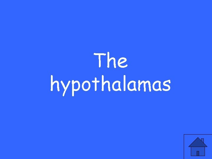 The hypothalamas 