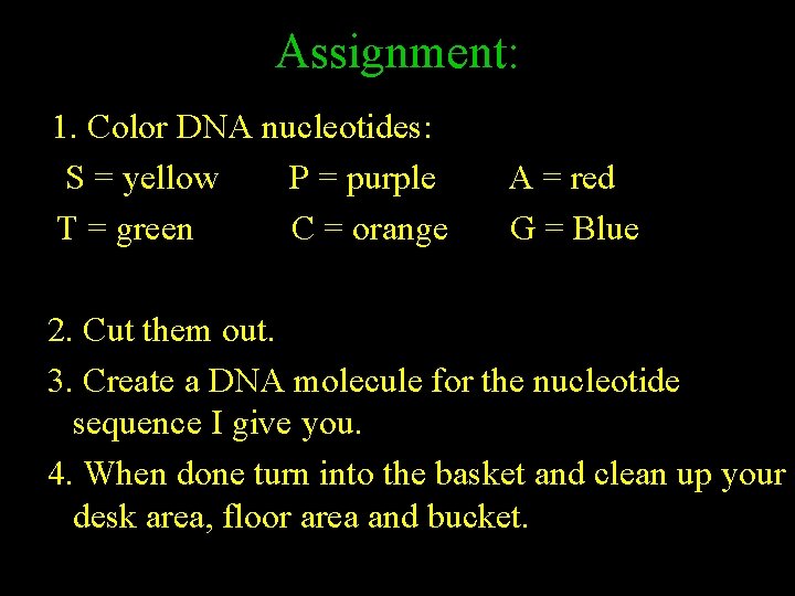 Assignment: 1. Color DNA nucleotides: S = yellow P = purple T = green