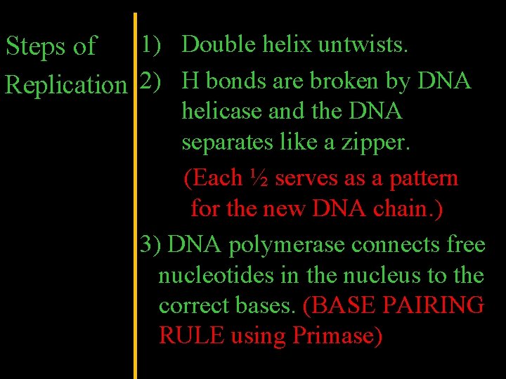1) Double helix untwists. Replication 2) H bonds are broken by DNA helicase and