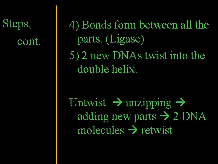 Steps, cont. 4) Bonds form between all the parts. (Ligase) 5) 2 new DNAs