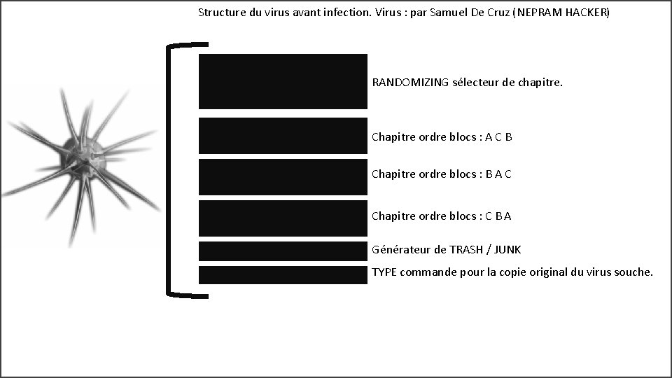 Structure du virus avant infection. Virus : par Samuel De Cruz (NEPRAM HACKER) RANDOMIZING