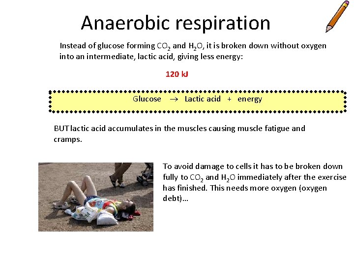 Anaerobic respiration Instead of glucose forming CO 2 and H 2 O, it is