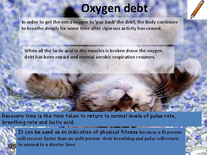 Oxygen debt In order to get the extra oxygen to 'pay back' the debt,