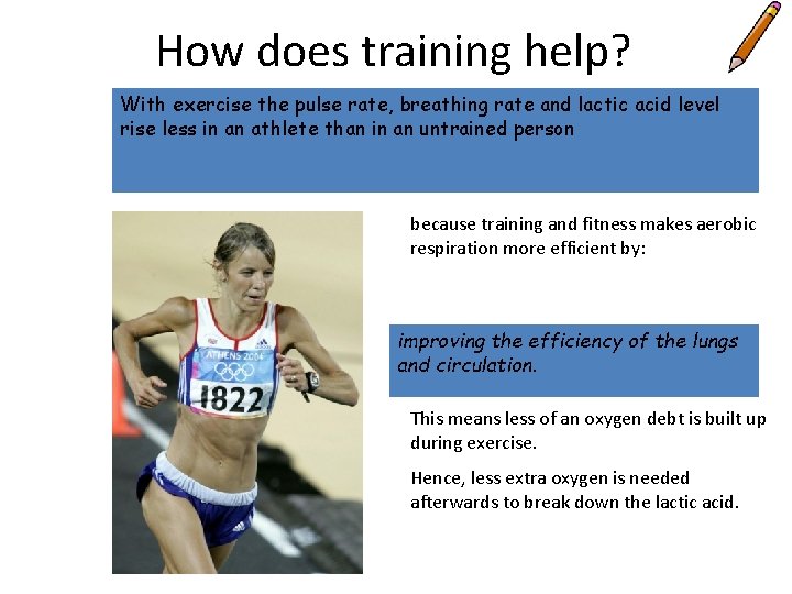 How does training help? With exercise the pulse rate, breathing rate and lactic acid