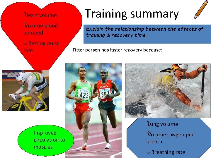  Heart volume Training summary Volume blood pumped Explain the relationship between the effects