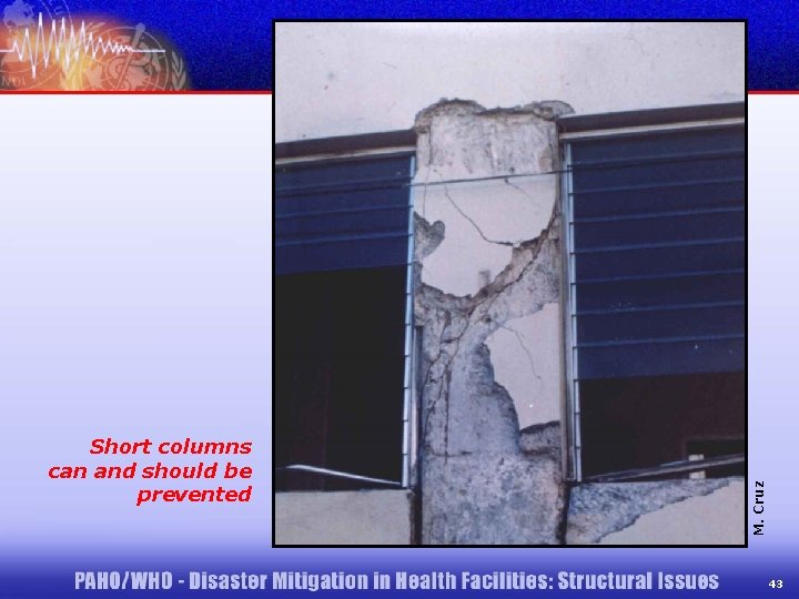 M. Cruz Short columns can and should be prevented 43 